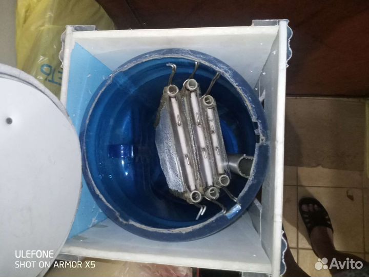 Ферма аулофорус