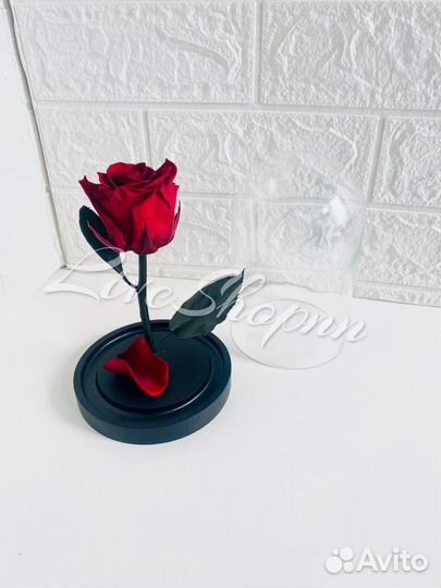 Роза в колбе