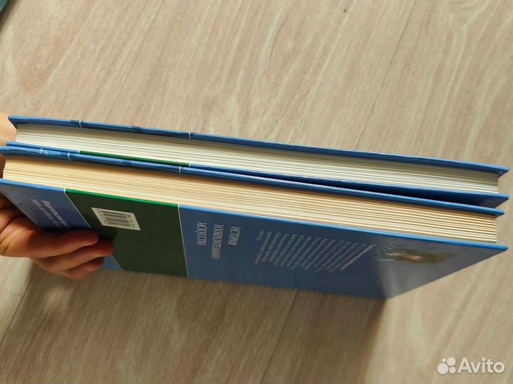 История изобразительного искусства Сокольникова нм