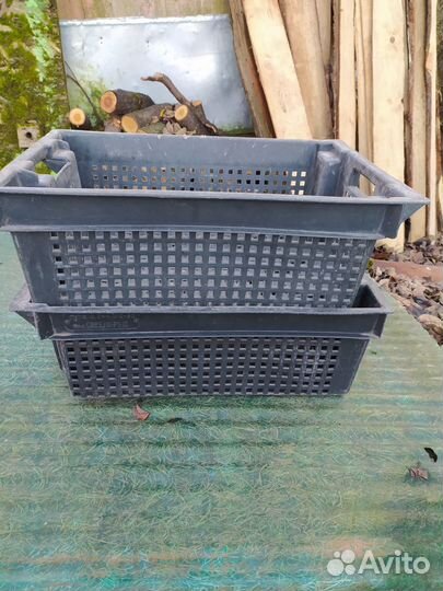 Пластиковые ящики для хранения овощей