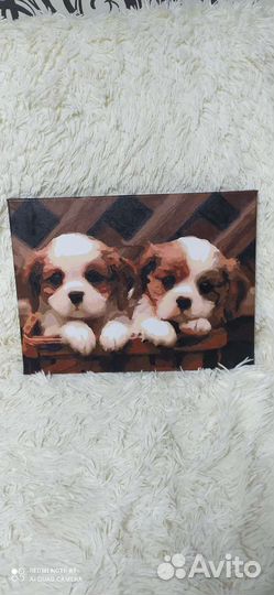 Картина раскрашенная, 30*40см