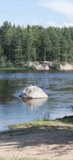 Участок 10 сот. (СНТ, ДНП)