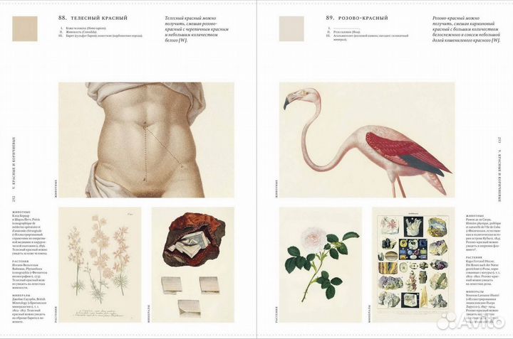 Цвет в природе. Коллекция красок окружающег