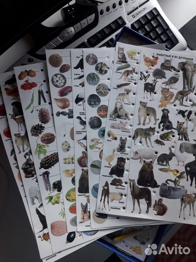 Электровикторина Живая природа настольная игра