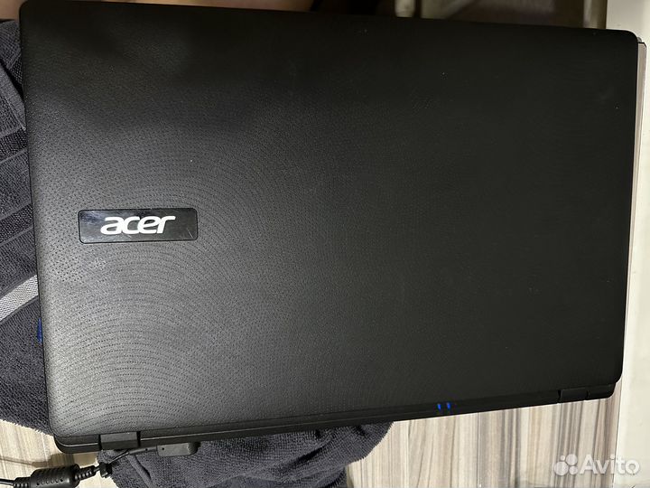 Acer extensa 2519