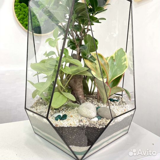 Флорариум 