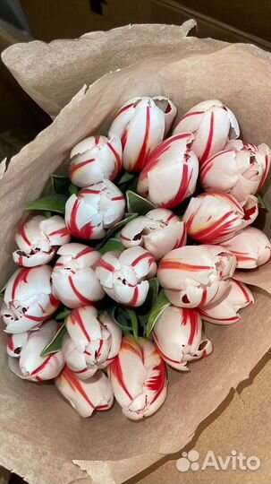 Тюльпаны сегодня 8 мариа