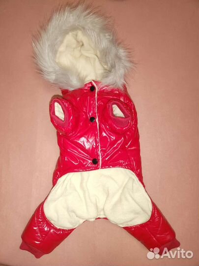 Зимний комбинезон на мелкую собаку