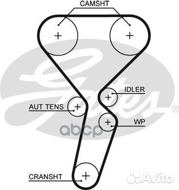 Ремкомплект грм с водяным насосом renault