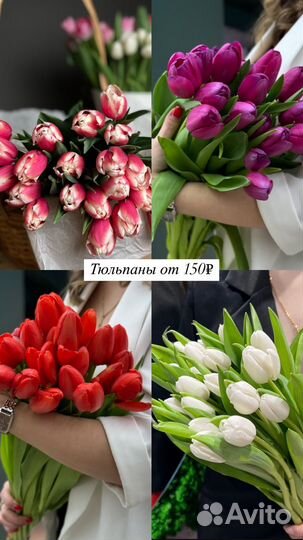 Букеты Цветы Тюльпаны к 8 марта