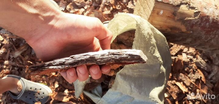 Кора сосны мульча