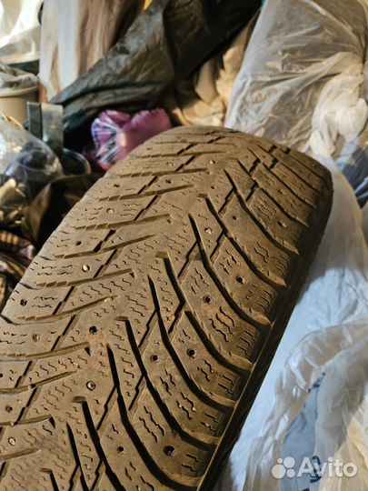 Nokian Tyres Hakkapeliitta 8 195/65 R15