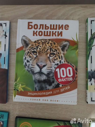 Детские энциклопедии