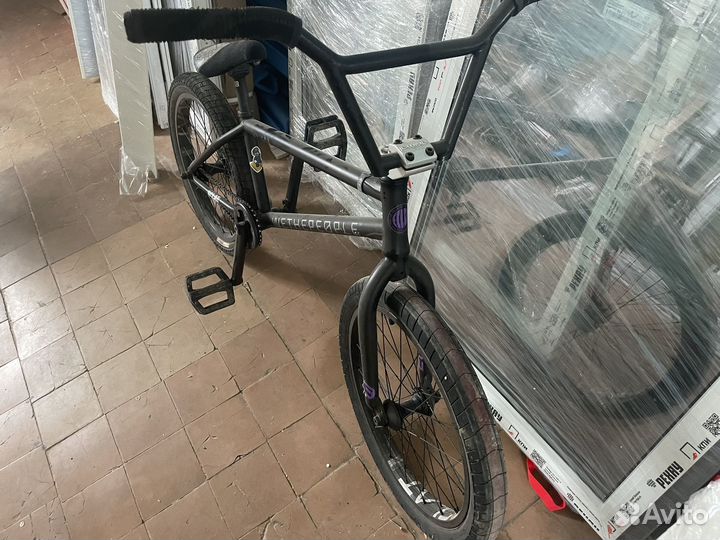 Bmx animal eclat wtp salt plus дёрбан