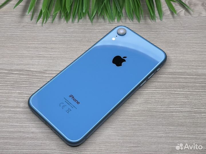 iPhone XR 64GB Blue