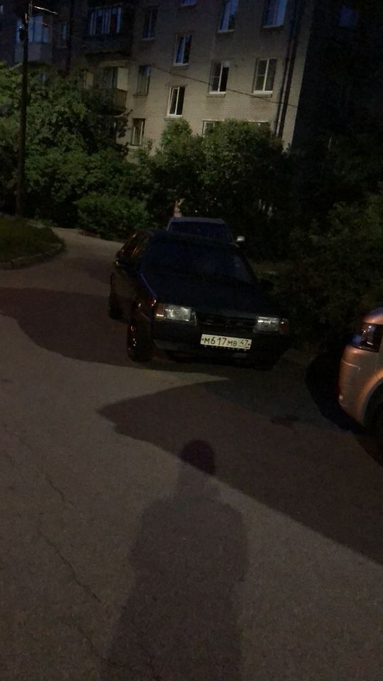 ВАЗ (LADA) 21099: фото владельца
