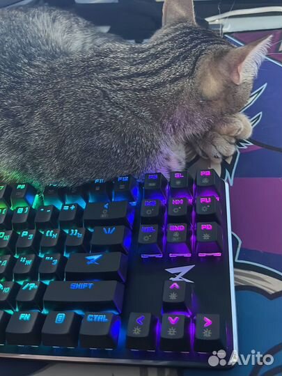 Zet(ardor) gaming blade pro