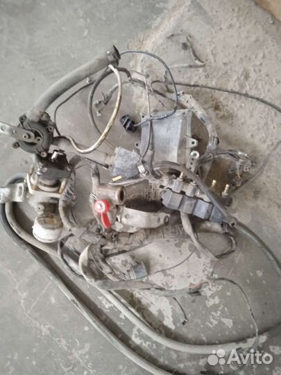 Гбо ловато 4 поколения