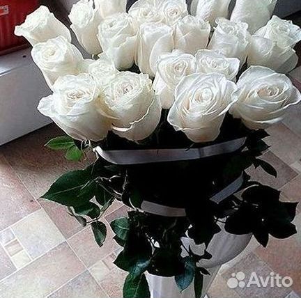 101 роза цветы букеты доставка 25 51 101 роза