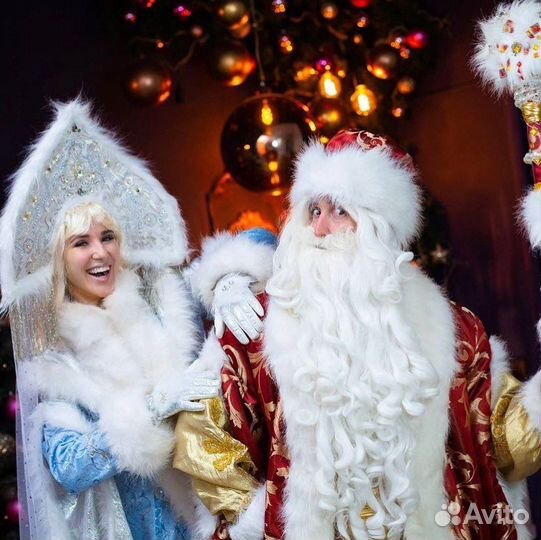 Дед Мороз и Снегурочка на дом, опыт 15 лет