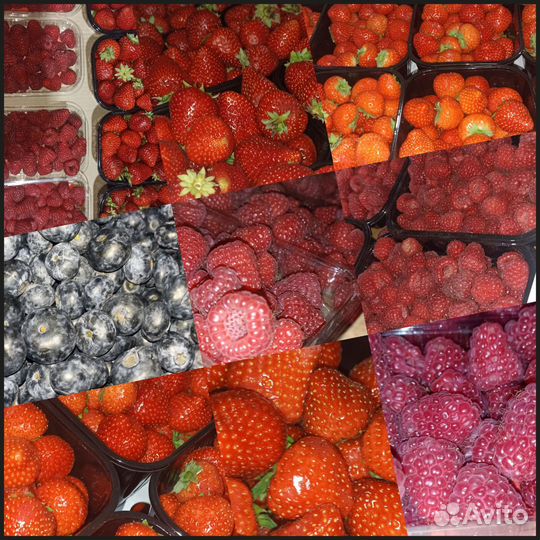 Продам овощи