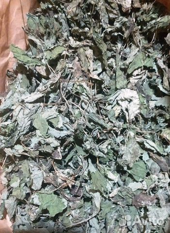Продам мяту и мелису сушеную, а также свежую и д.р купить в Москве ...