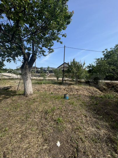 Участок 12,5 сот. (СНТ, ДНП)