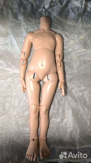 Бжд тело для П. Рейна