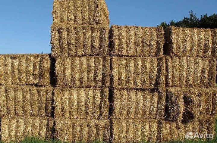 Сено, солома в мешках, в тюках