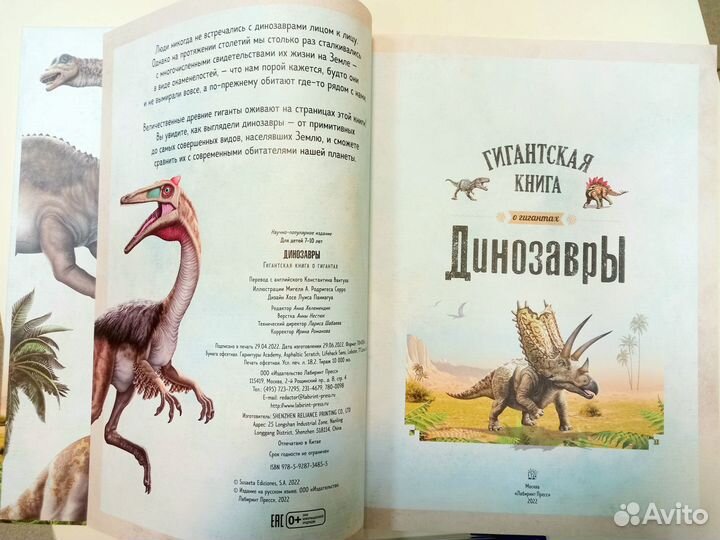 Динозавры книга детская