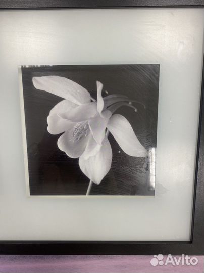 Картина из IKEA