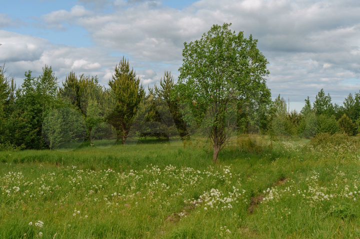 Участок 6,8 сот. (СНТ, ДНП)