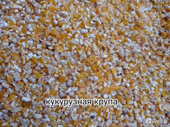 Зерно, зерно смеси, кормовые крупы, комбикорма