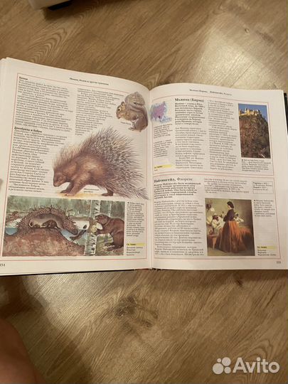 Oxford Большая энциклопедия школьника