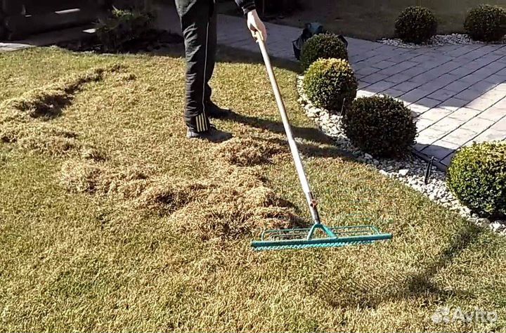 Разнорабочие