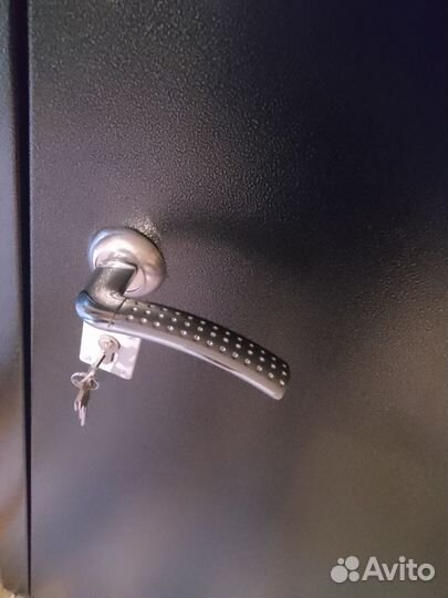 Дверь входная железная