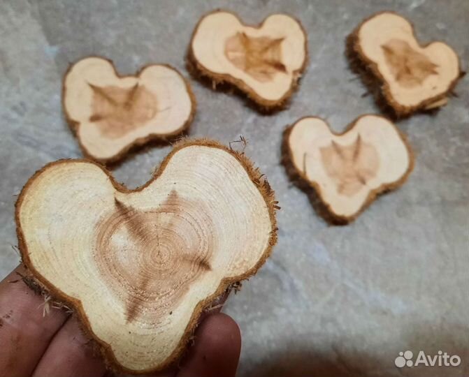 Можжевельник