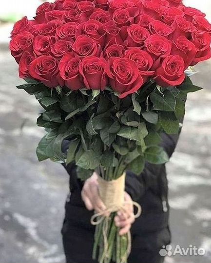 Высокие розы Гигантские Розы 150 160 170 180 190см