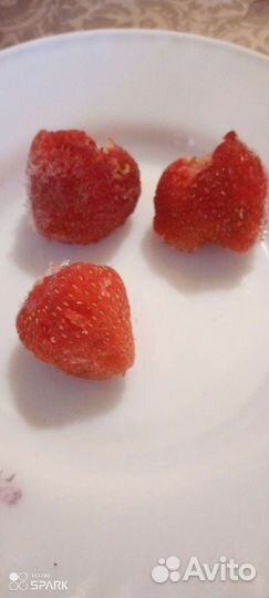 Рассада клубники и малина