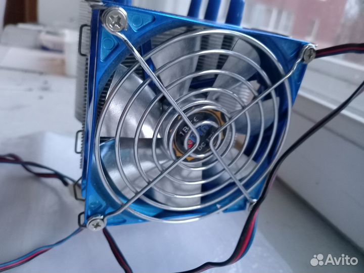 Titan Vanessa S-type