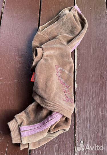 Вещи для маленьких собак