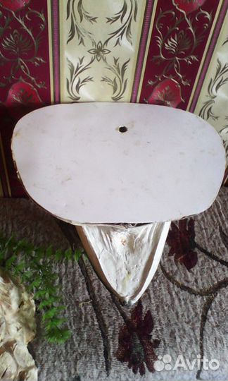 Голова щуки.Рыба