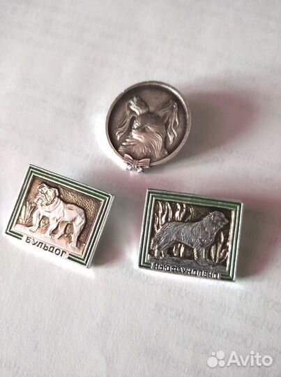 Наши верные друзья - собачки