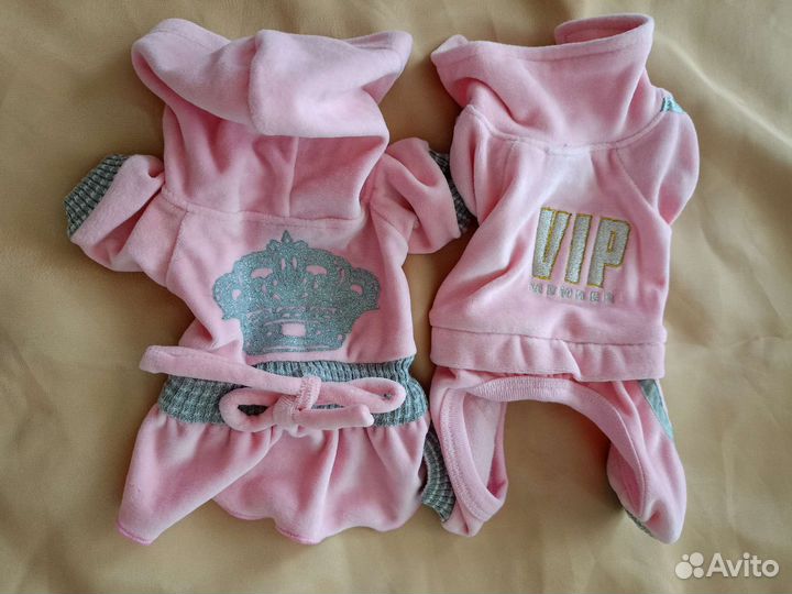 Одежда для маленьких собак xs