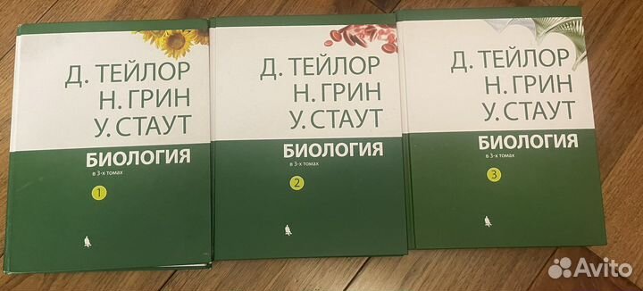 Биология Тейлор Грин Стаут