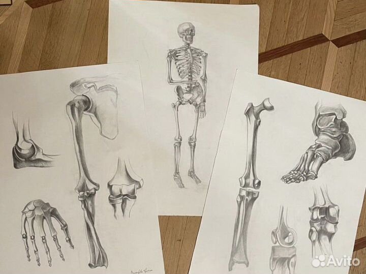 Живопись и рисунок на заказ, студенческие работы