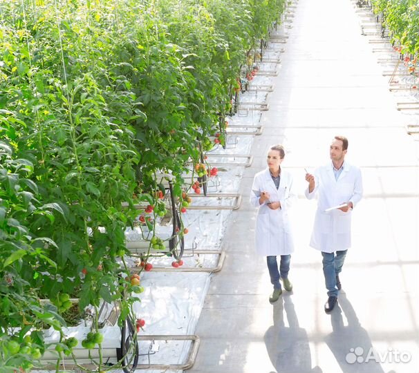 Агроном по защите растений