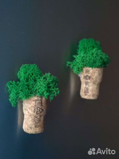 Сувениры. Магнит на холодильник