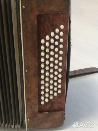 Аккордеон для начальной школы