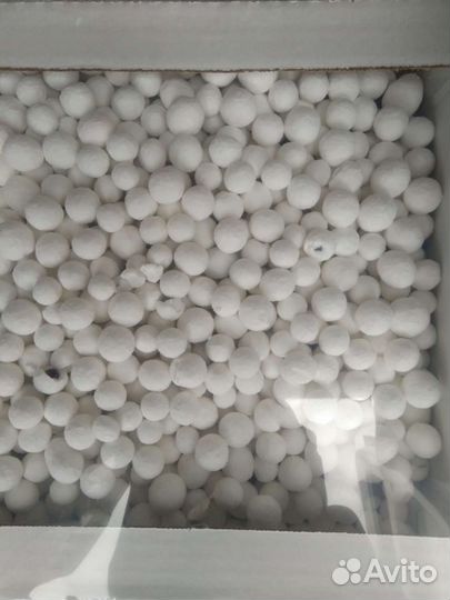 Клюква в Сахарной пудре